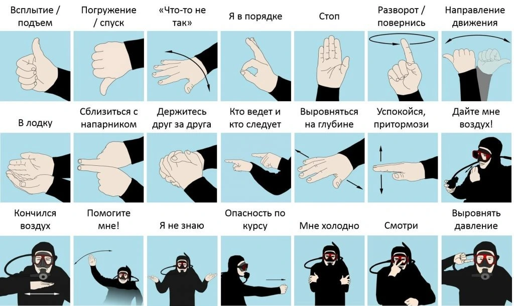 Дайверы общаются жестами под водой