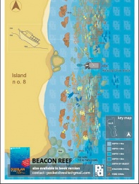BEACON REEF – Similan Island №8