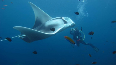 Это моё любимо фото сделанное на ХинДаенг