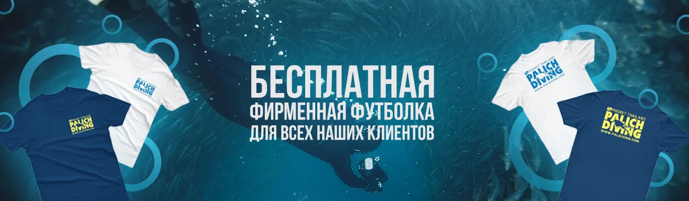Бесплатная фирменная футболка для всех наших клиентов