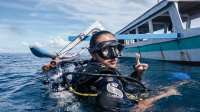 Diver NDL или Open Water Diver PADI
