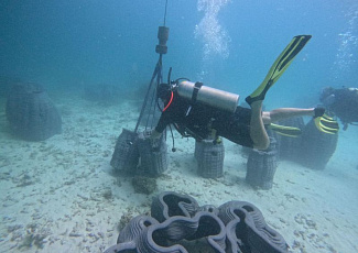 Пхукет готовит подводную экспозицию к Тайской биеннале 2025